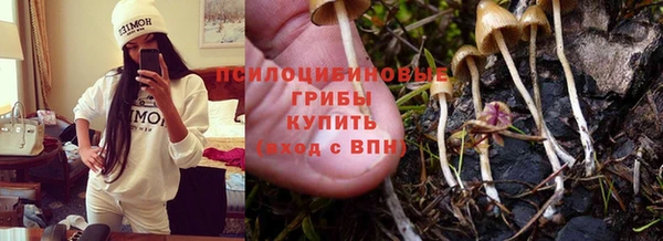 дмт Алзамай